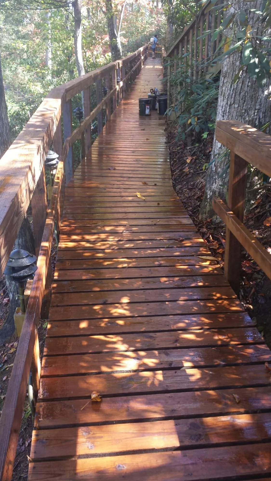 Freshly stained wood walkway winding through the woods in Bonanza