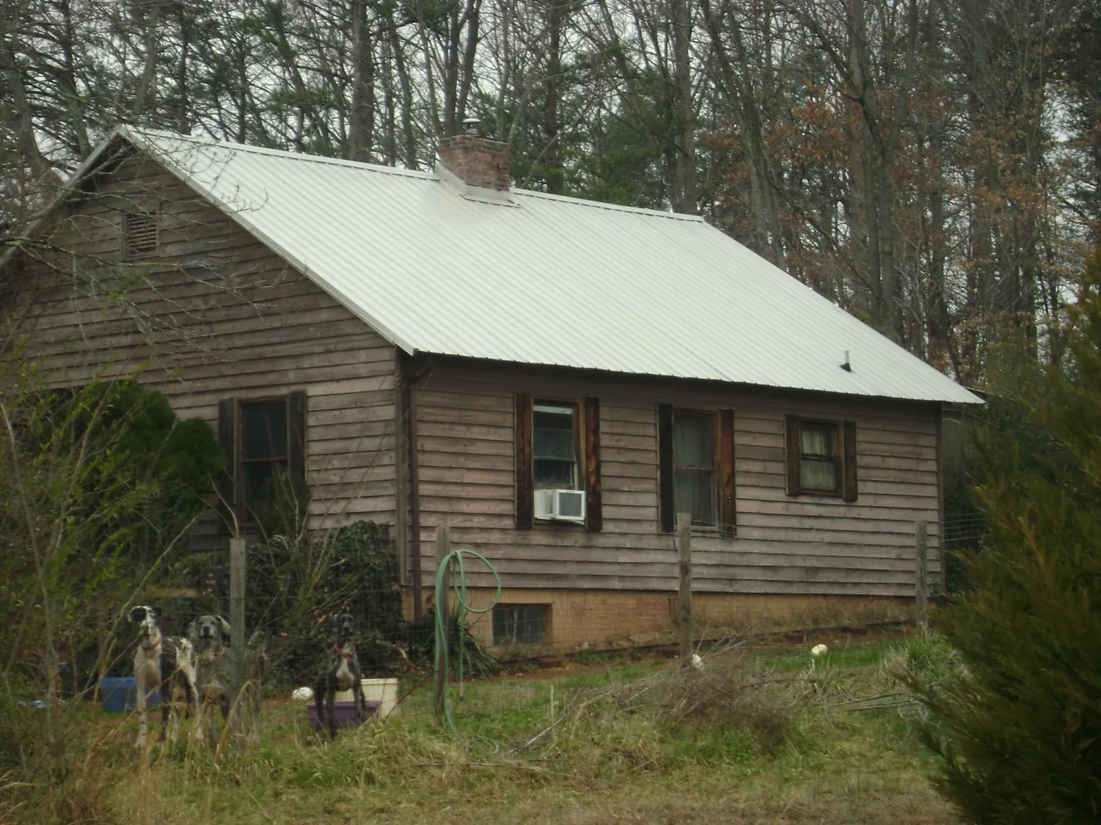 White metal roof on an old wood sided farmhouse, from a Asphalt Shingle Roof Repair job in Bonanza